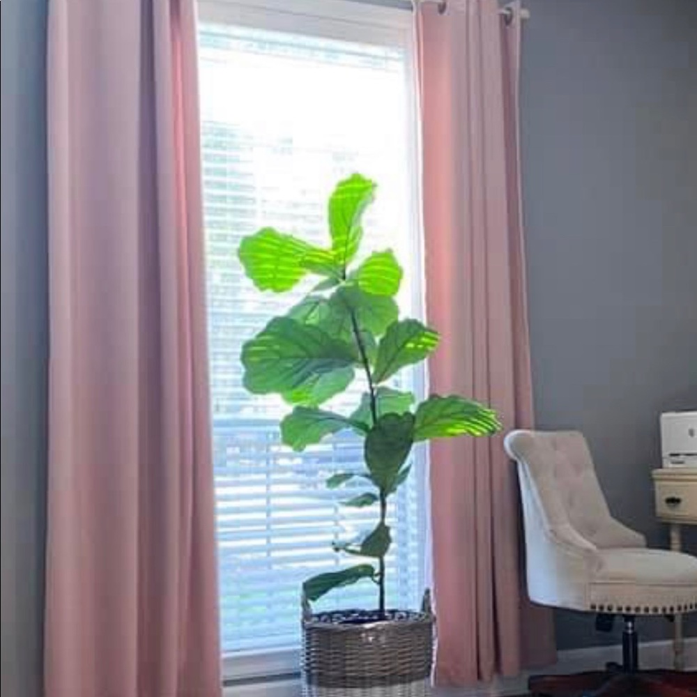 Blush Velvet Curtains Two Panels (54 x 96)